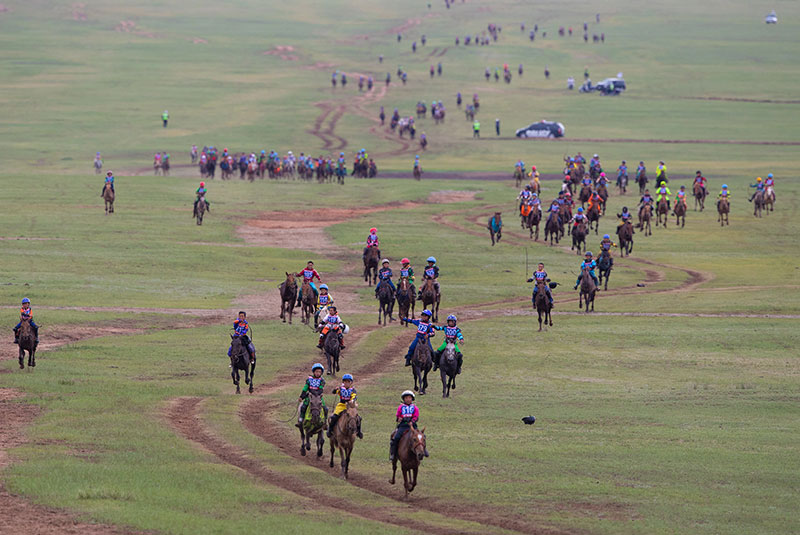 naadam festival horse race 